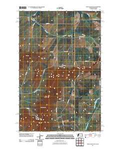 Tekoa Mountain 2011 topographic map thumbnail