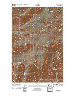 Texas Lake 2011 topographic map thumbnail