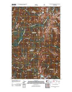Benchmark Mountain 2011 topographic map thumbnail