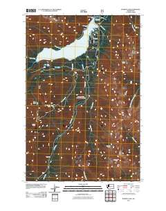 Bumping Lake 2011 topographic map thumbnail