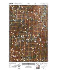 Cooper Mountain 2011 topographic map thumbnail