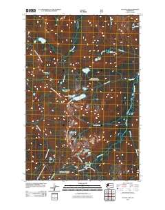 Cougar Lake 2011 topographic map thumbnail