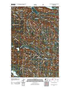 Cougar Mountain 2011 topographic map thumbnail