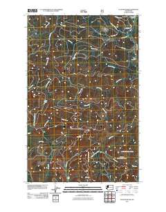 Ellis Mountain 2011 topographic map thumbnail