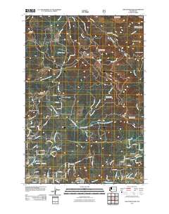 Larch Mountain 2011 topographic map thumbnail