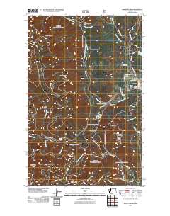 Mount Walker 2011 topographic map preview