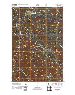 Mount Zion 2011 topographic map thumbnail