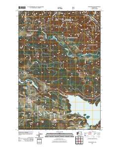 Mossyrock 2011 topographic map thumbnail