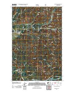 Reade Hill 2011 topographic map thumbnail