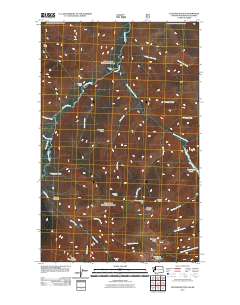 Tatoosh Buttes 2011 topographic map thumbnail