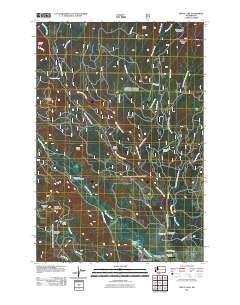 Trout Lake 2011 topographic map thumbnail