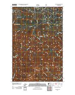 Tyler Peak 2011 topographic map thumbnail