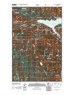 Wallace Lake 2011 topographic map thumbnail