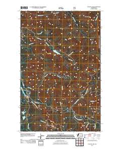 Canyon Lake 2011 topographic map thumbnail