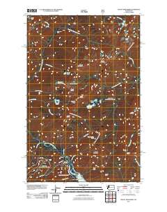Mount Skokomish 2011 topographic map thumbnail