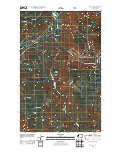 Riley Lake 2011 topographic map thumbnail