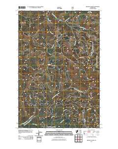 Bernier Creek 2011 topographic map thumbnail