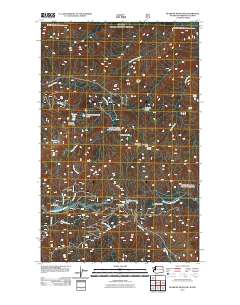 Bearpaw Mountain 2011 topographic map thumbnail