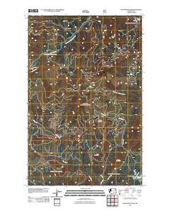 Boyer Mountain 2011 topographic map thumbnail