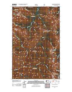 Castle Peak 2011 topographic map thumbnail