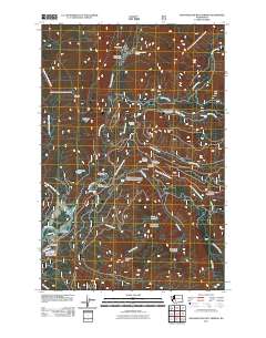Ohanapecosh Hot Springs 2011 topographic map thumbnail