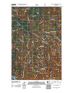 Old Baldy Mountain 2011 topographic map thumbnail