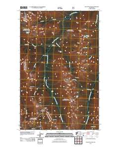 Pasayten Peak 2011 topographic map thumbnail