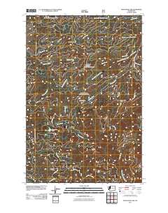 Newaukum Lake 2011 topographic map thumbnail