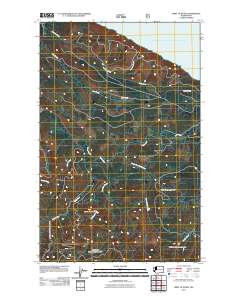 West of Pysht 2011 topographic map preview