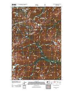 Stevens Pass 2011 topographic map thumbnail