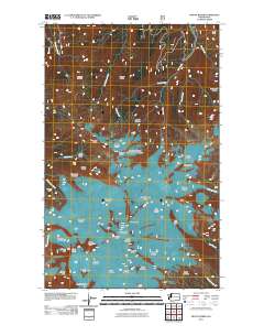 Mount Baker 2011 topographic map thumbnail