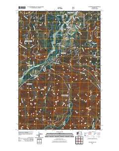 Packwood 2011 topographic map thumbnail