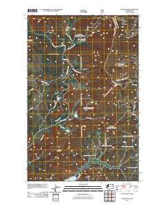 Nelson Peak 2011 topographic map thumbnail