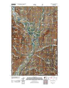 Twisp East 2011 topographic map thumbnail