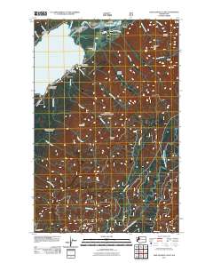 Lake Quinault East 2011 topographic map thumbnail