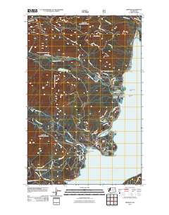 Brinnon 2011 topographic map thumbnail