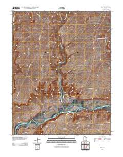 Bluff 2010 topographic map thumbnail