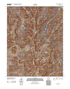 Big Bench 2010 topographic map thumbnail