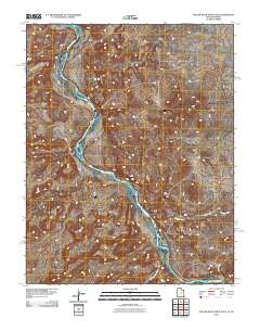 Yellow Rock Point East 2011 topographic map thumbnail