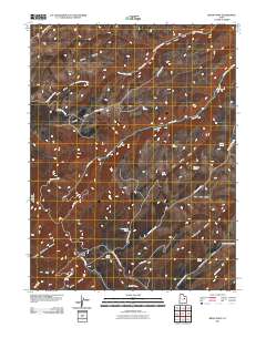 Bruin Point 2011 topographic map thumbnail