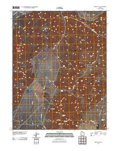 Burnt Peak 2010 topographic map thumbnail