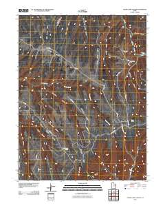 Cedar Camp Canyon 2011 topographic map thumbnail