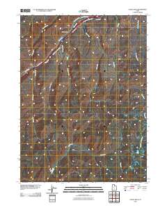 Castle Rock 2010 topographic map thumbnail