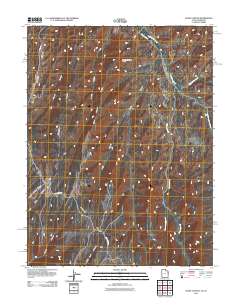 Davis Canyon 2011 topographic map thumbnail