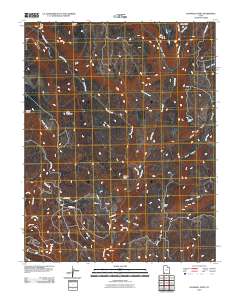 Cogswell Point 2010 topographic map thumbnail