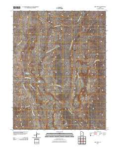 Dry Mesa 2011 topographic map thumbnail