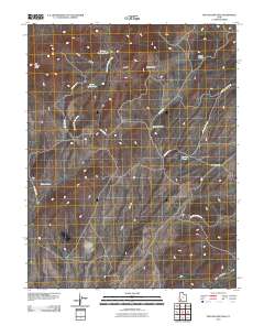 Dry Willow Peak 2010 topographic map thumbnail