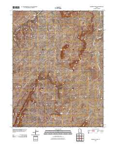 Dubinky Wash 2010 topographic map thumbnail
