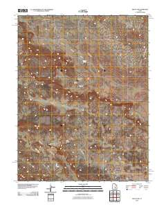 Fruita NW 2010 topographic map thumbnail