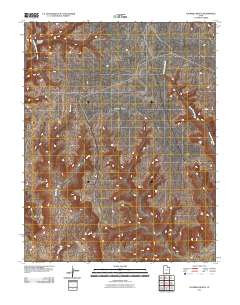 Fourmile Bench 2011 topographic map thumbnail